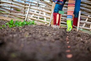 Reggel vesd el a te magodat, és este se pihentesd kezedet