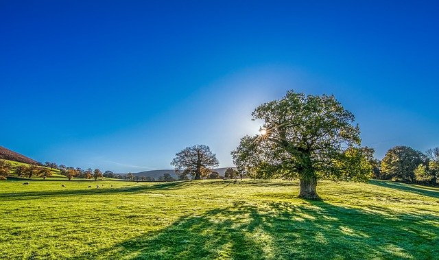 Hogy-hogy lehetne igaz a halandó Isten előtt,