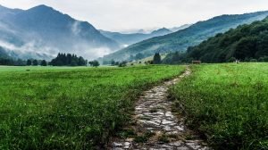 Dávid és a sereg fővezérei a szolgálatra kijelölék az Asáf,