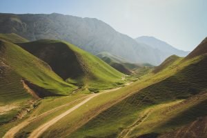 És elosztá őket Dávid és Sádók, ki az Eleázár fiai közül vala,